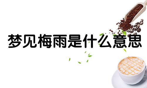梦见梅雨是什么意思 梦见下梅花雨