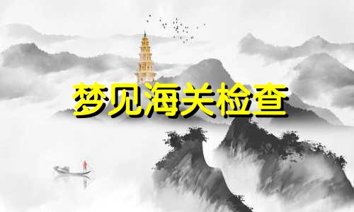 梦见海关检查 梦见海关人员
