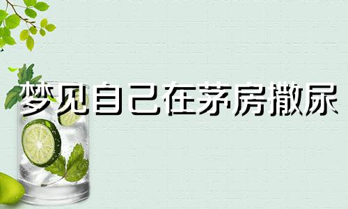 梦见自己在茅房撒尿 梦到在茅房里