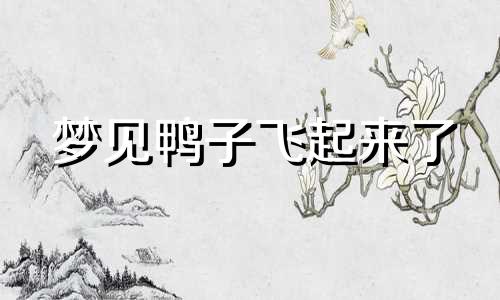 梦见鸭子飞起来了 梦见鸭子飞起来了是什么意思