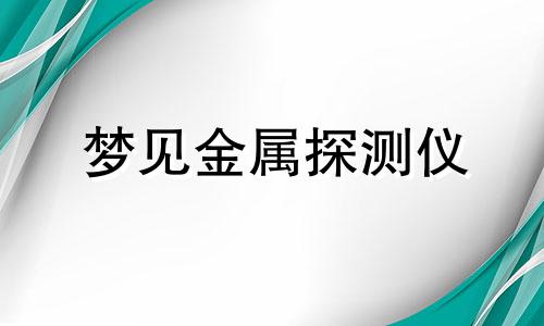 梦见金属探测仪 