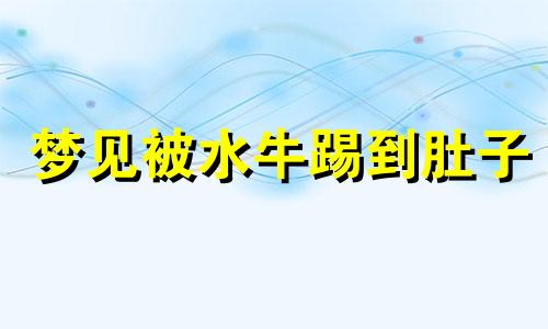 梦见被水牛踢到肚子 梦见水牛踢我