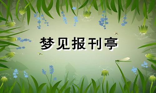 梦见报刊亭 梦到报刊