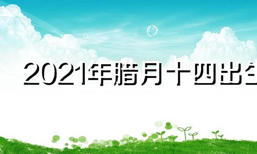 2021年腊月十四出生 腊月十四出生