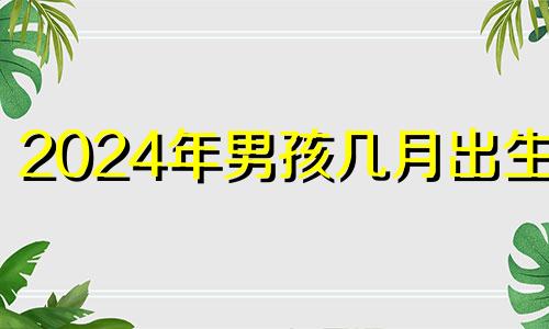 2024年男孩几月出生好 2024年男孩取名