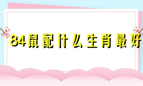 84鼠配什么生肖最好 84属鼠的三大忌配生肖