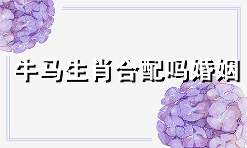 牛马生肖合配吗婚姻 牛马生肖合不合