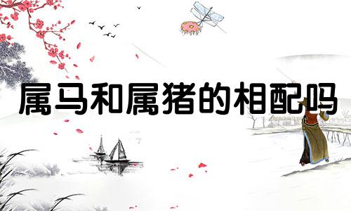 属马和属猪的相配吗 马和猪属相合不合