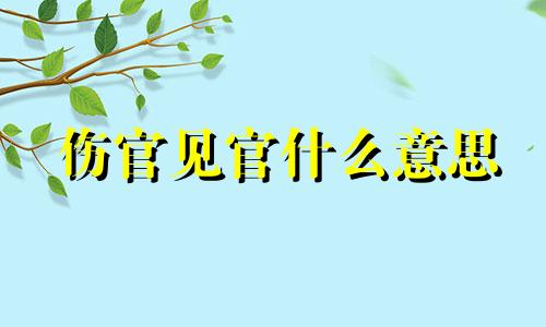 伤官见官什么意思