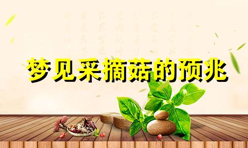 梦见采摘菇的预兆
