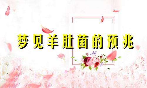 梦见羊肚菌的预兆