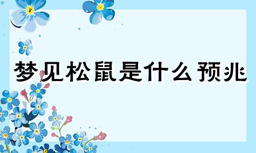 梦见松鼠是什么预兆 梦见松鼠是什么意思