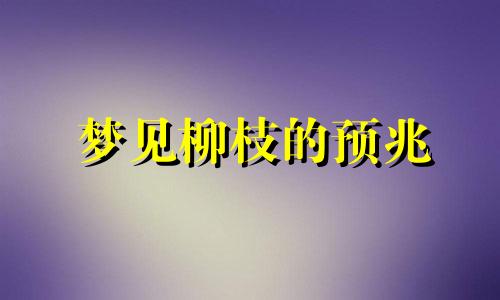 梦见柳枝的预兆 梦见柳树枝好吗