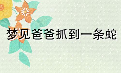 梦见爸爸抓到一条蛇 梦到爸爸捉蛇预示着什么
