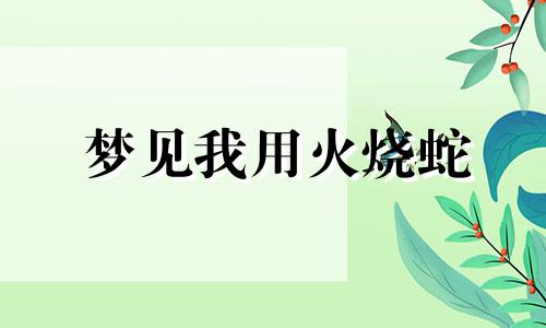 梦见我用火烧蛇 做梦用火烧蛇怎么回事