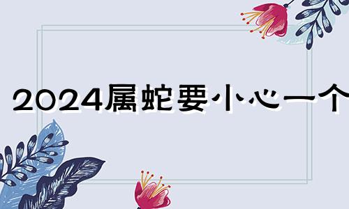 2024属蛇要小心一个人 2024属羊要小心一个人